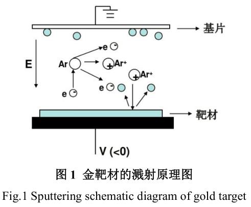 1691483524560198.jpg t1.jpg