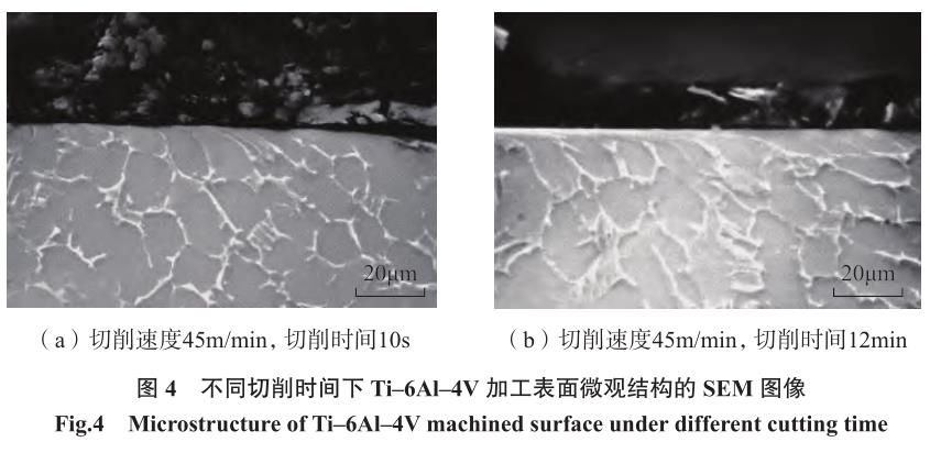 1692265938473004.jpg t4.jpg